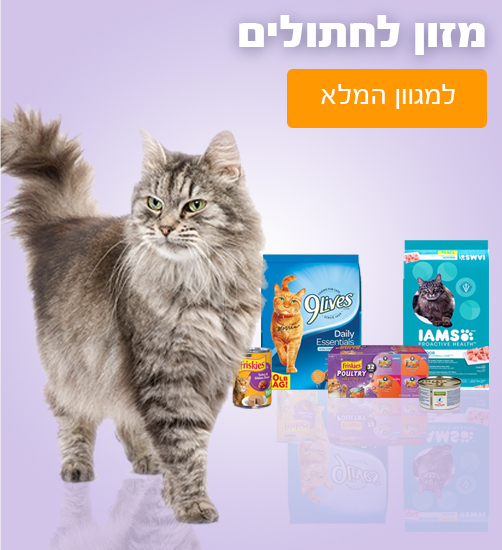 באנר 1 - חתולים