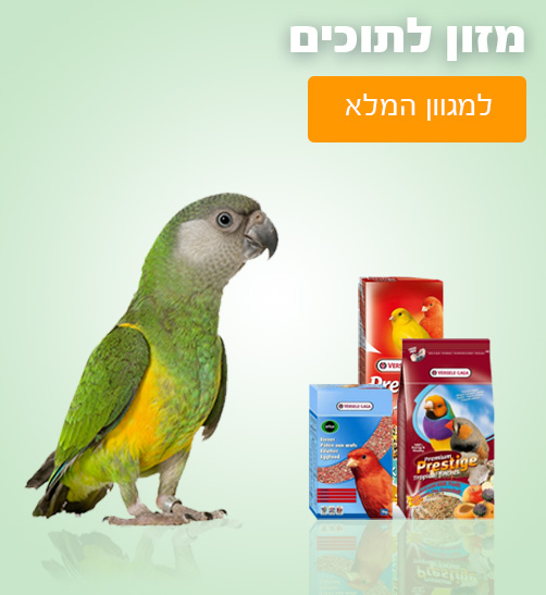 באנר 3 - תוכים